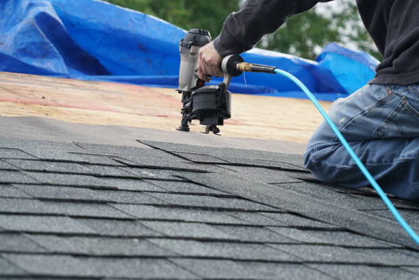 Best Roof Gutter Cleaning  in Romancoke, MD