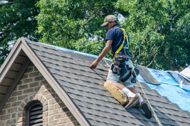 Best Roof Waterproofing Services  in Romancoke, MD